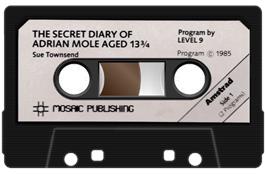 Cartridge artwork for Secret Diary of Adrian Mole on the Amstrad CPC.