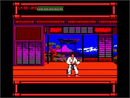 In game image of Budokan: The Martial Spirit on the Amstrad CPC.