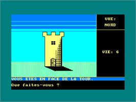 In game image of Diamant De L'ile Maudite, Le on the Amstrad CPC.