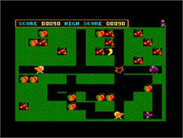 In game image of Fruity Frank on the Amstrad CPC.