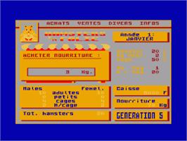 In game image of Hamsters En Folie on the Amstrad CPC.