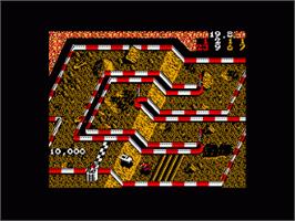 In game image of Ironman Ivan Stewart's Super Off-Road on the Amstrad CPC.