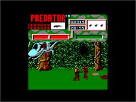 In game image of Predator on the Amstrad CPC.