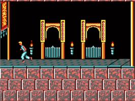 In game image of Prince of Persia on the Amstrad CPC.