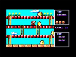 In game image of Rodland on the Amstrad CPC.
