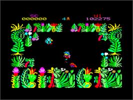 In game image of Sabre Wulf on the Amstrad CPC.