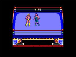 In game image of WWF Wrestlemania on the Amstrad CPC.