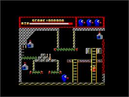In game image of Willy Wino's Stag Night on the Amstrad CPC.