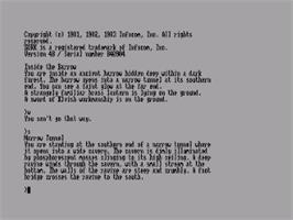 In game image of Zork 2 - The Wizard Of Frobozz on the Amstrad CPC.
