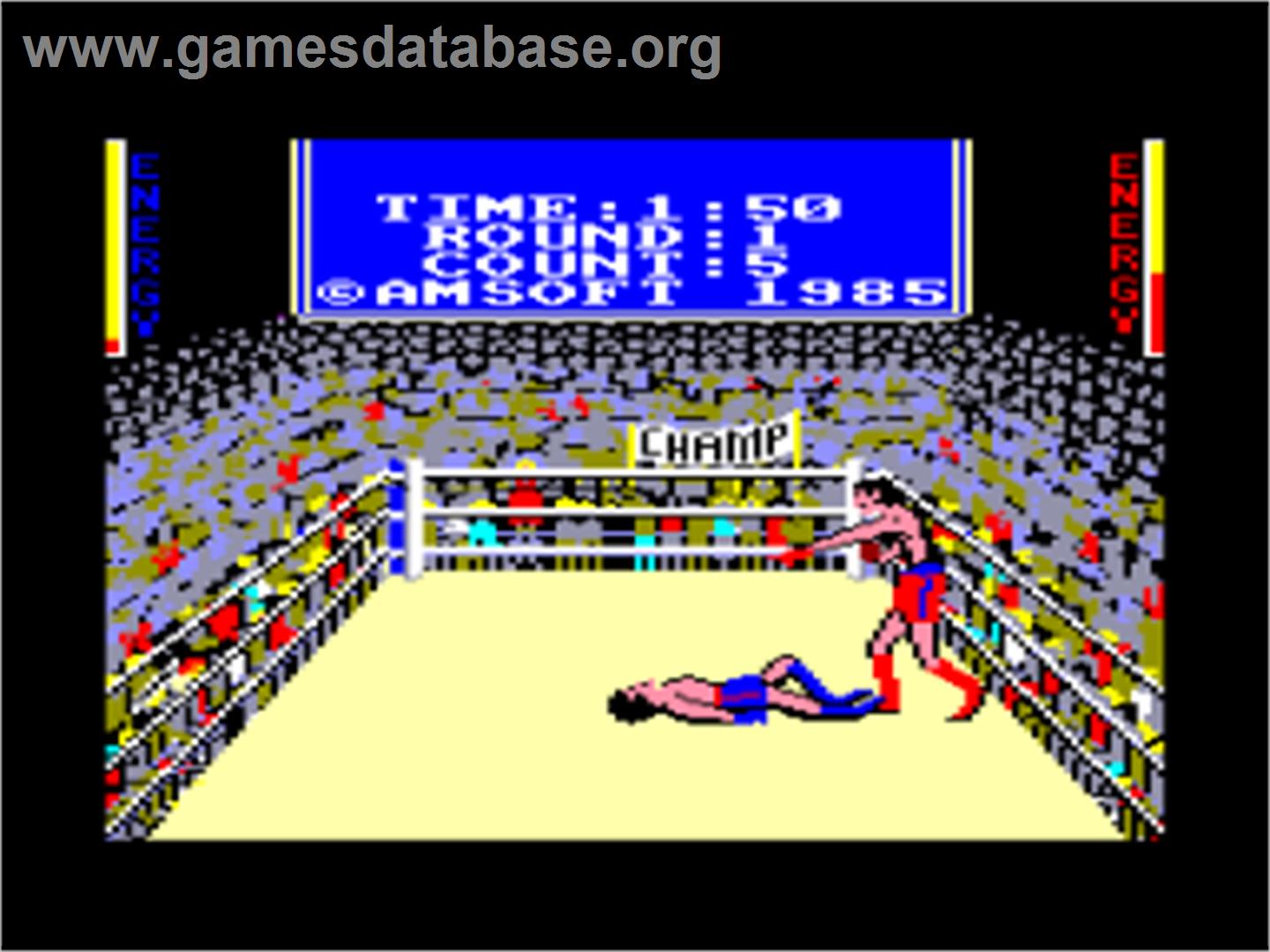 3D Boxing - Amstrad CPC - Artwork - In Game