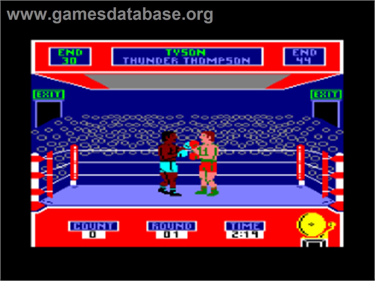 Barry McGuigan World Championship Boxing - Amstrad CPC - Artwork - In Game