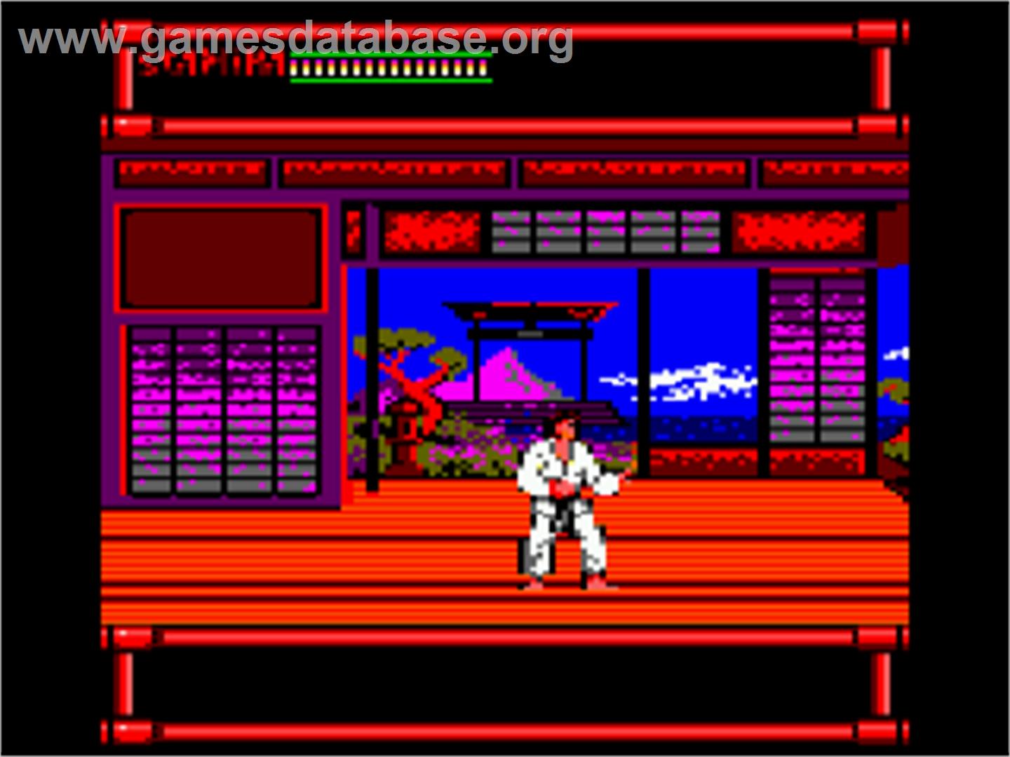 Budokan: The Martial Spirit - Amstrad CPC - Artwork - In Game