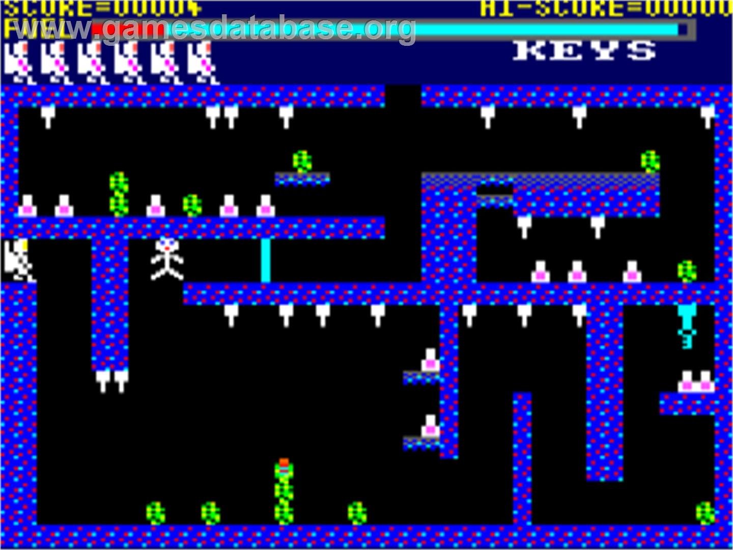 Caves of Doom - Amstrad CPC - Artwork - In Game