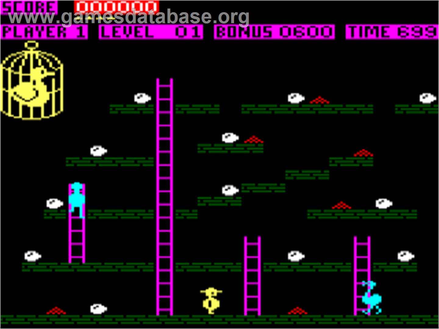 Chuckie Egg - Amstrad CPC - Artwork - In Game