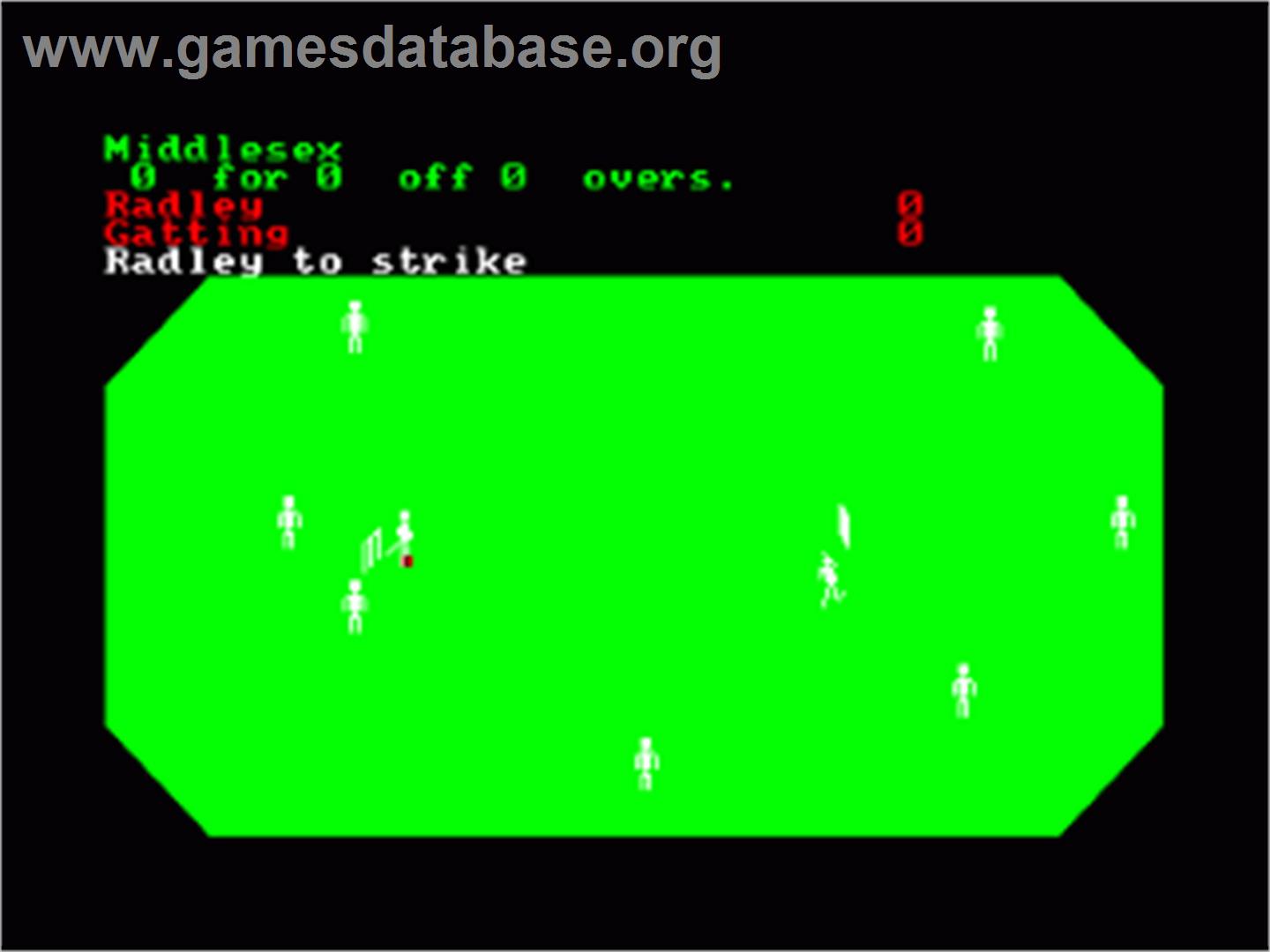 Cricket Captain (Hi-Tec) - Amstrad CPC - Artwork - In Game