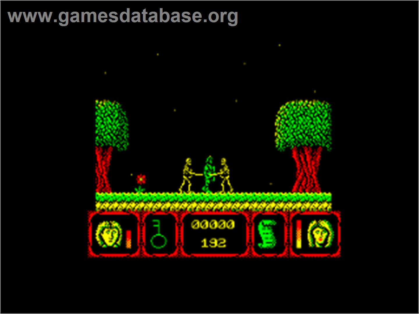 Deadly Evil - Amstrad CPC - Artwork - In Game