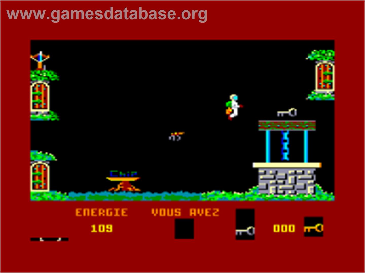 Devil's Castle - Amstrad CPC - Artwork - In Game