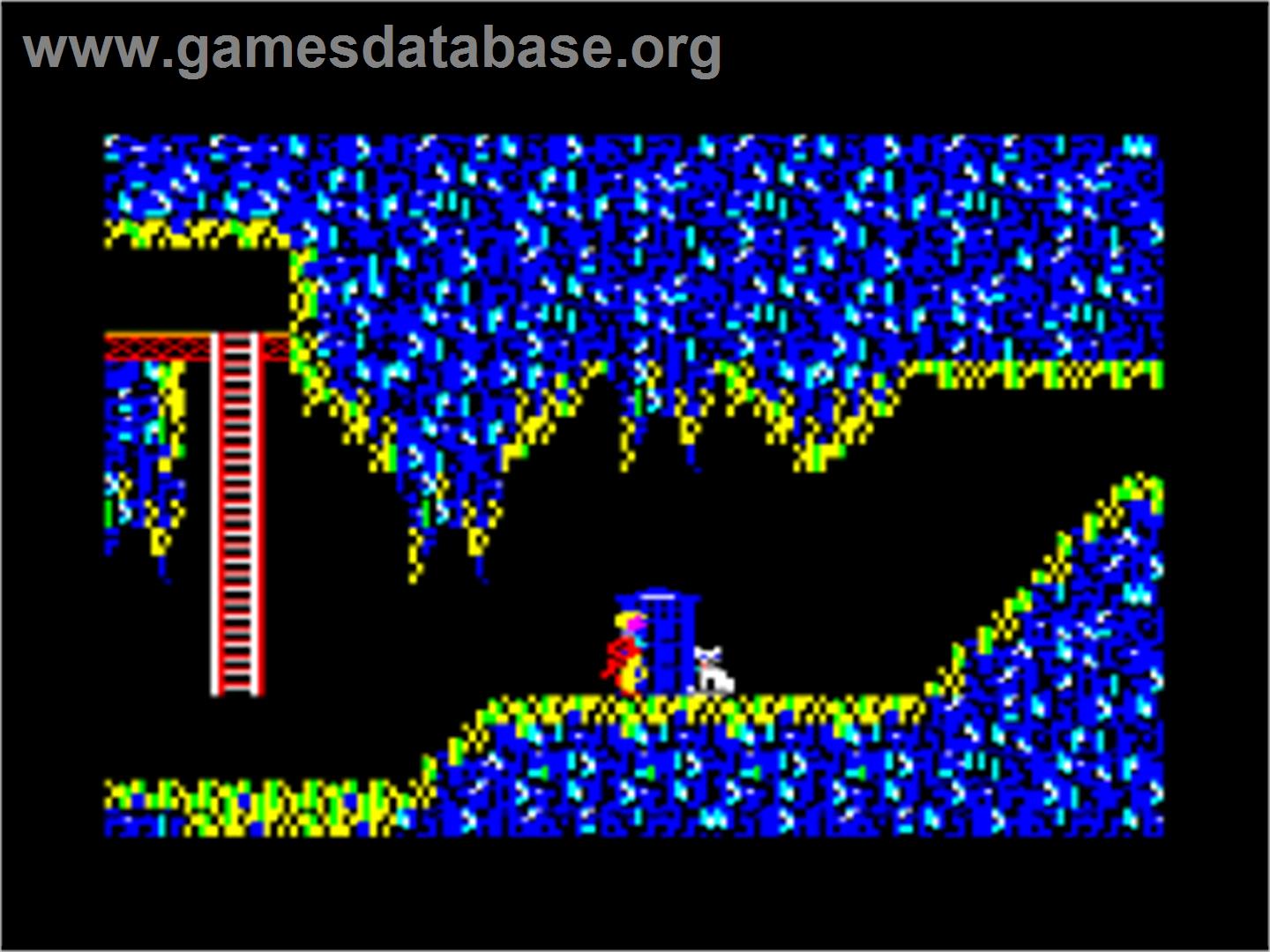 Doctor Who and the Mines of Terror - Amstrad CPC - Artwork - In Game
