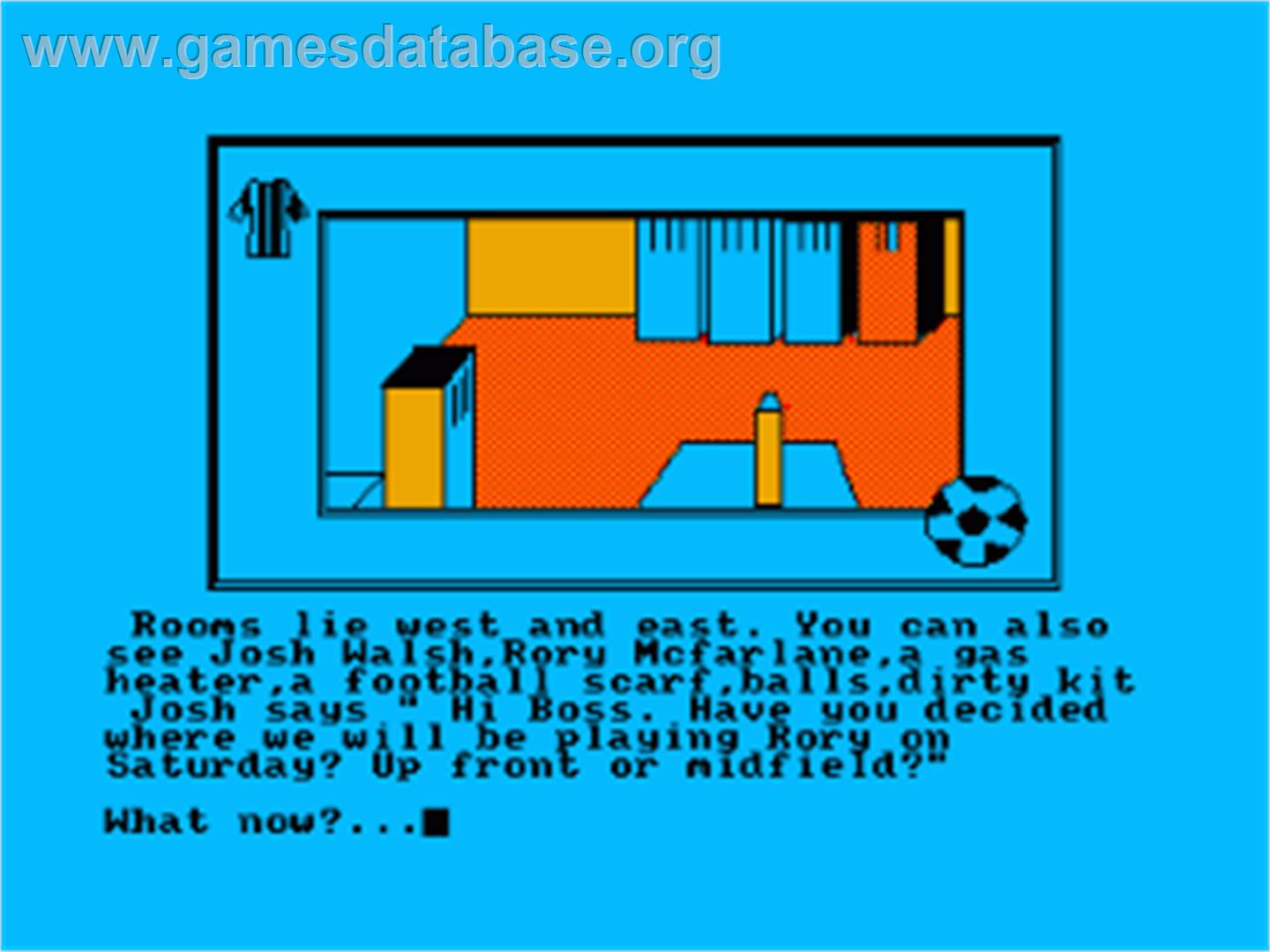 Football Frenzy - Amstrad CPC - Artwork - In Game