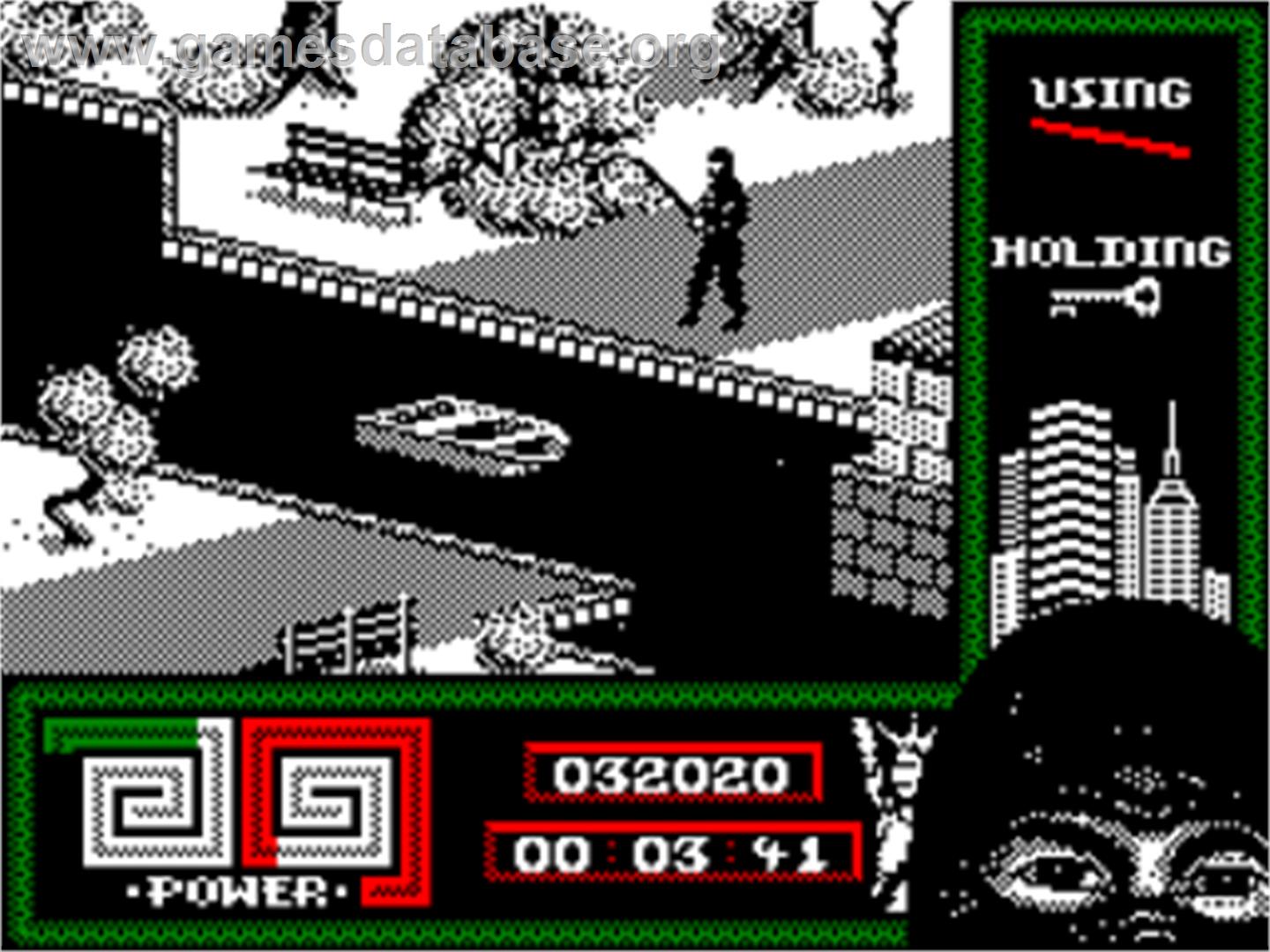 Last Ninja 2 - Amstrad CPC - Artwork - In Game