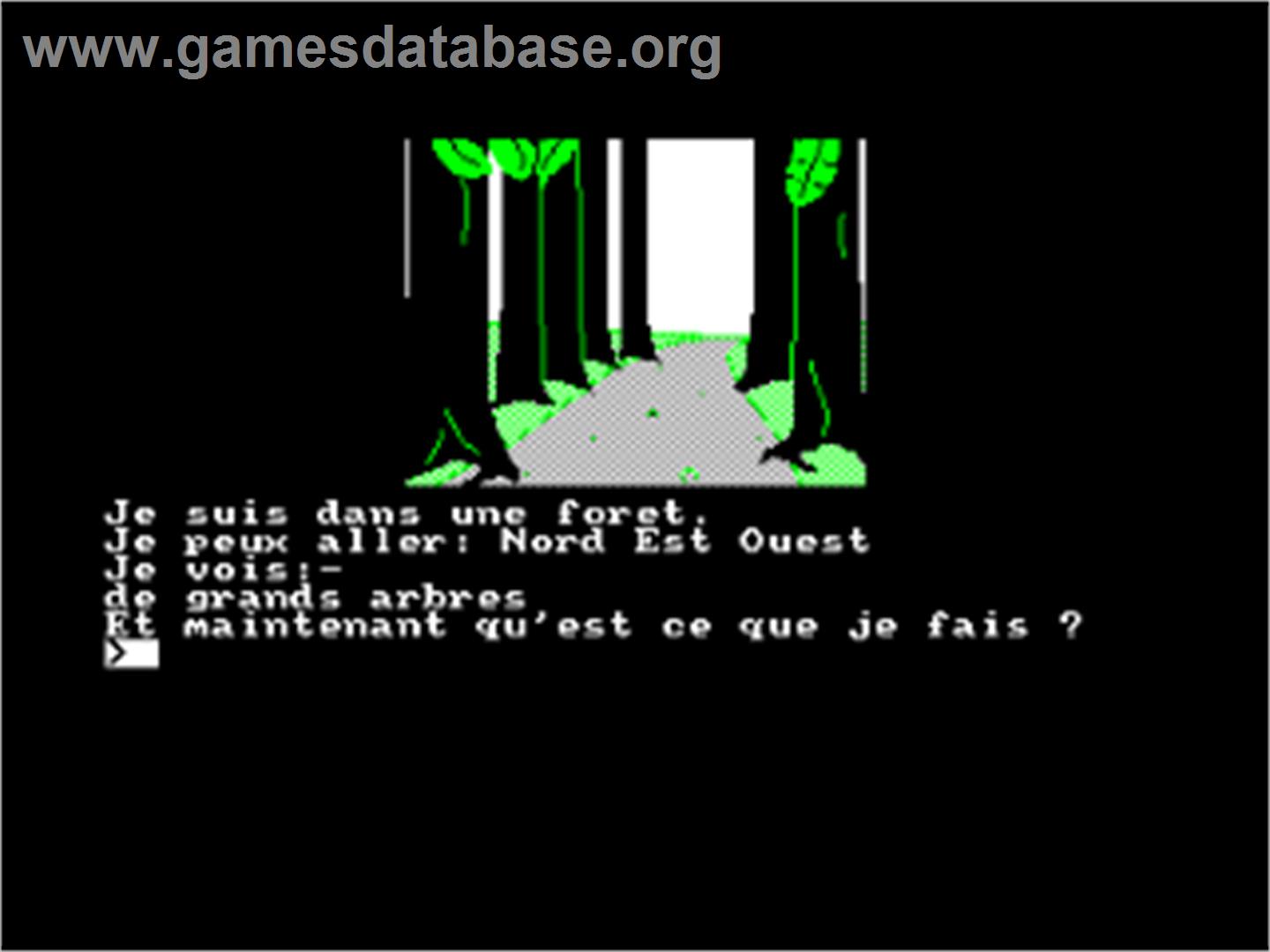 Manoir Du Comte Frozarda. Le - Amstrad CPC - Artwork - In Game