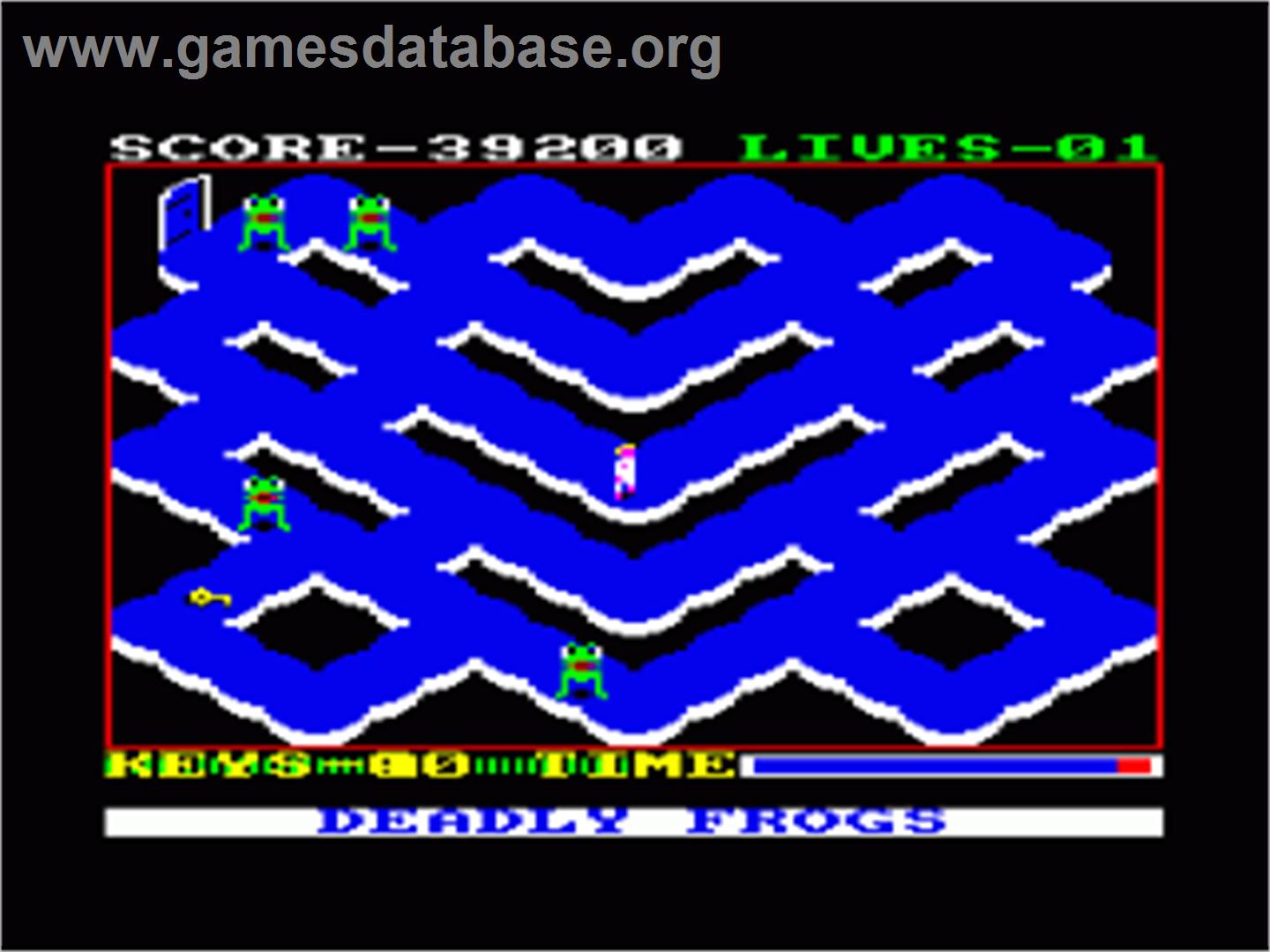 Nightmare Maze - Amstrad CPC - Artwork - In Game