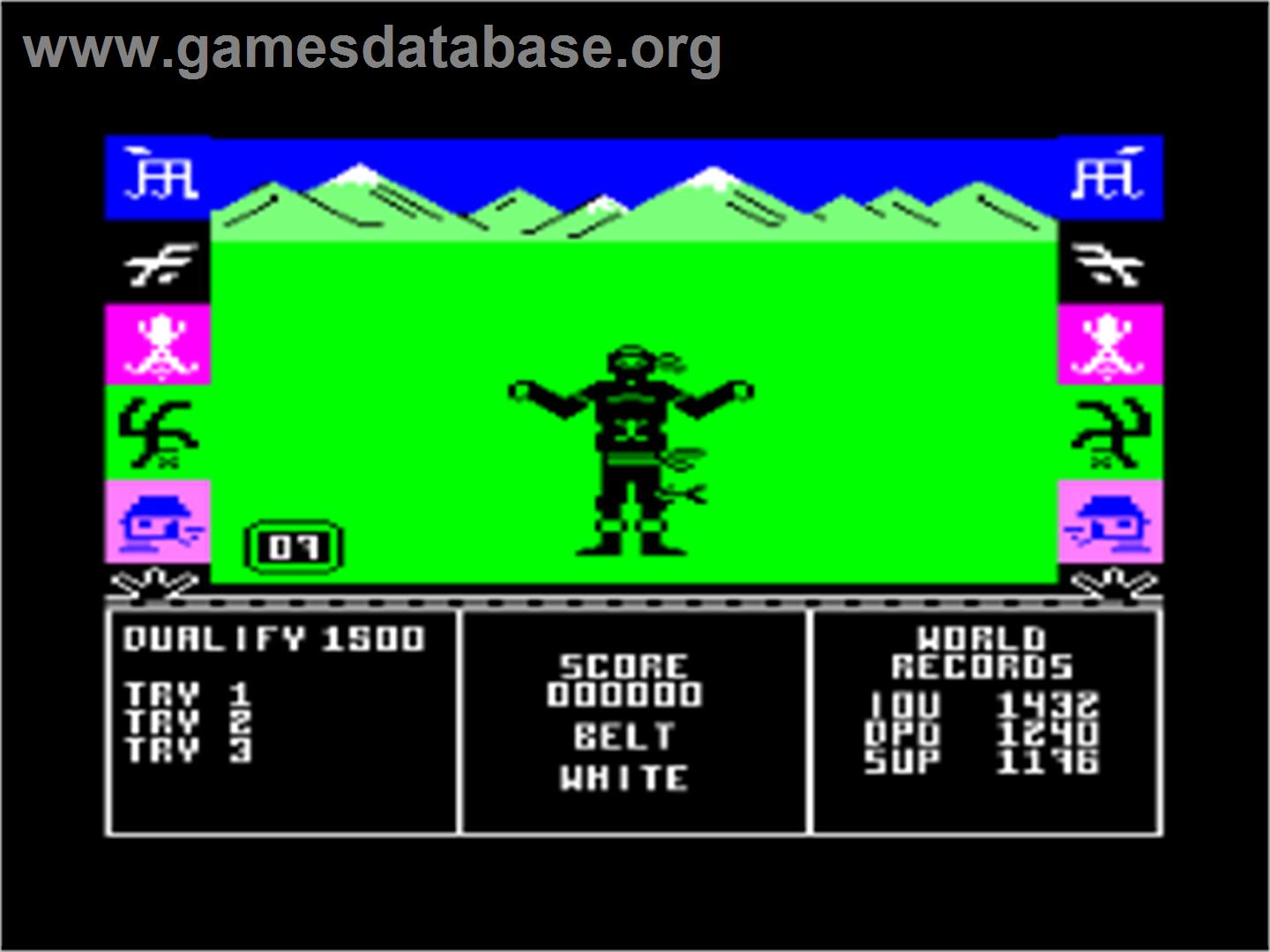 Ninja Master - Amstrad CPC - Artwork - In Game