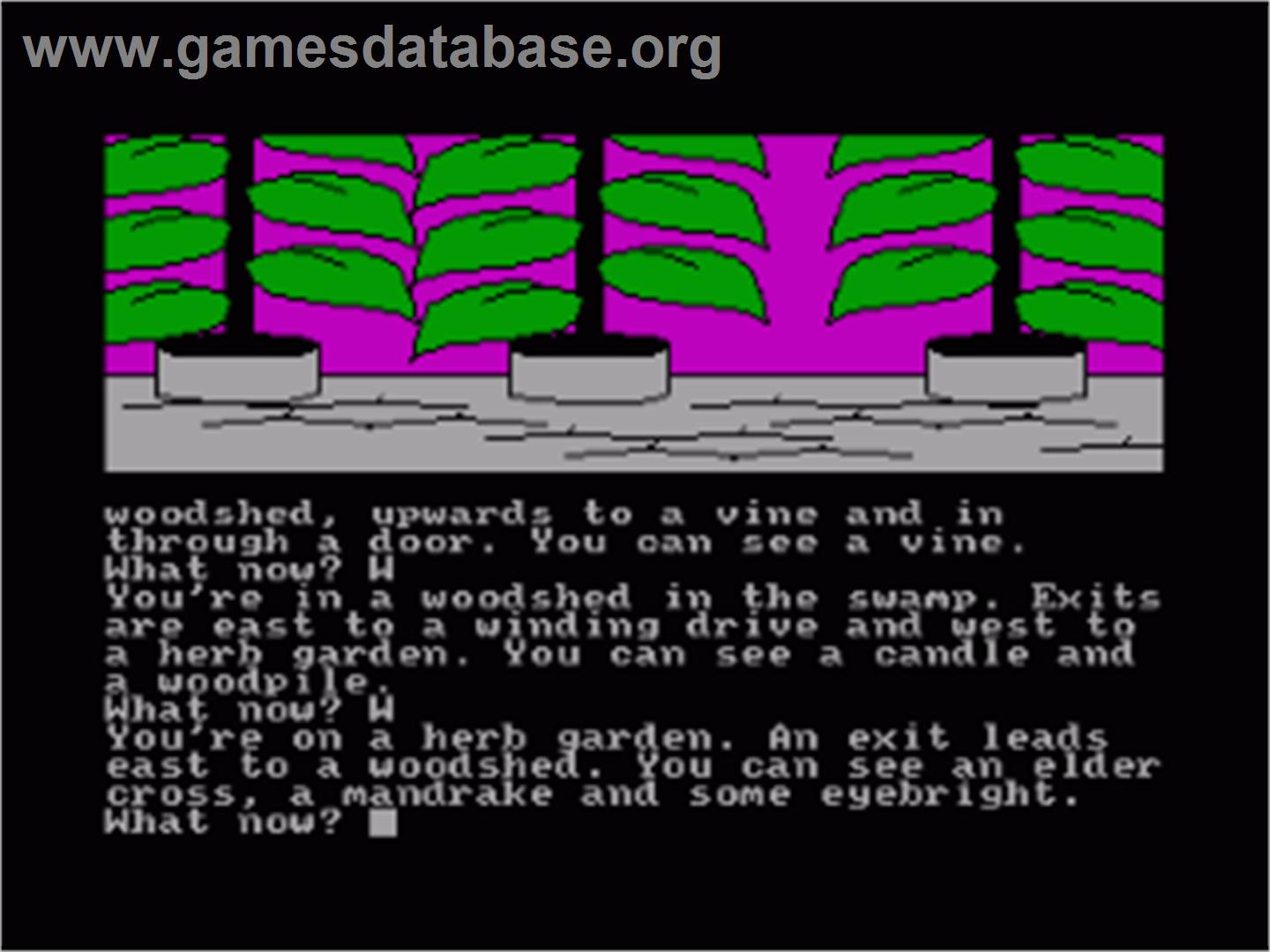 Price Of Magik, The - Amstrad CPC - Artwork - In Game