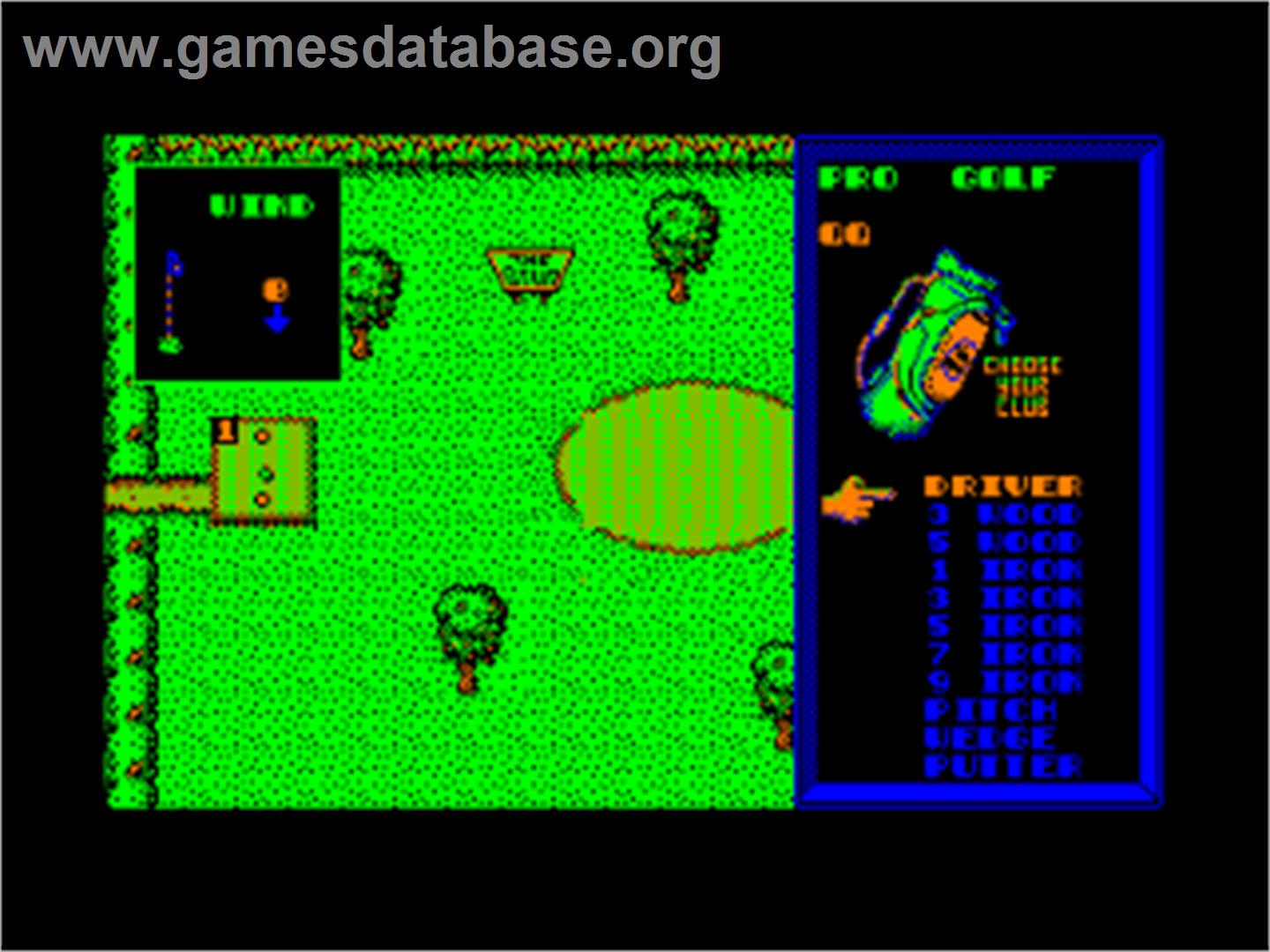 Pro Golf Simulator - Amstrad CPC - Artwork - In Game