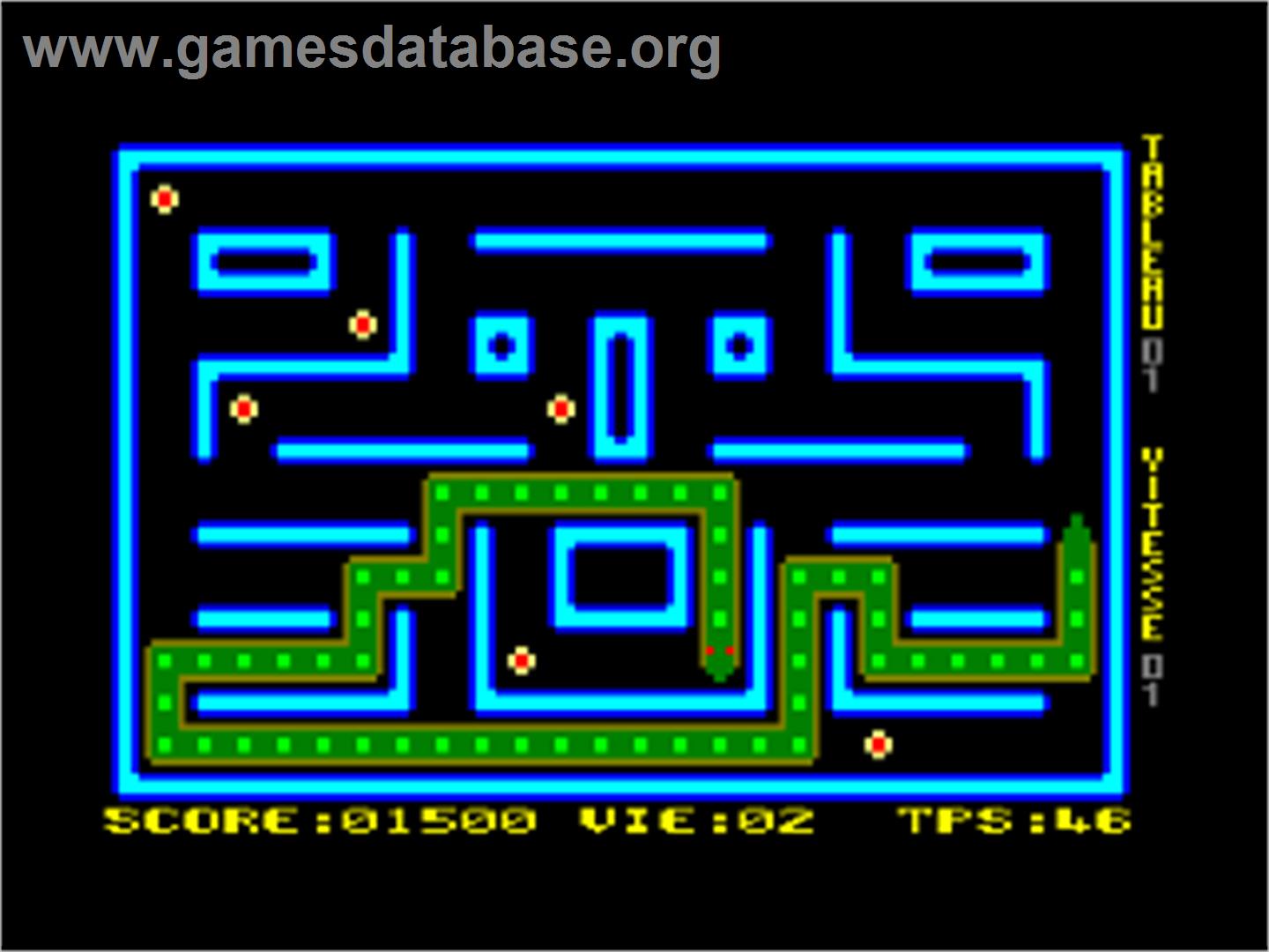 Python - Amstrad CPC - Artwork - In Game