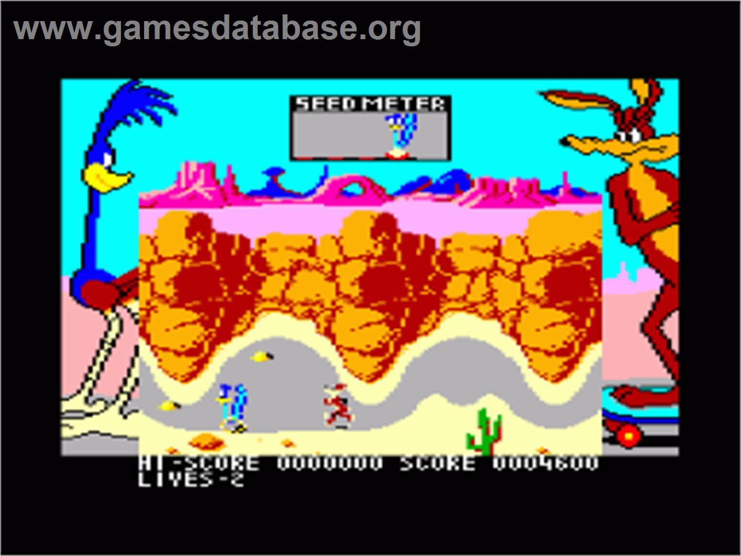 Road Runner - Amstrad CPC - Artwork - In Game