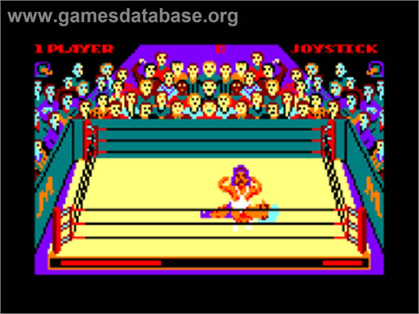 Rock 'n Wrestle - Amstrad CPC - Artwork - In Game