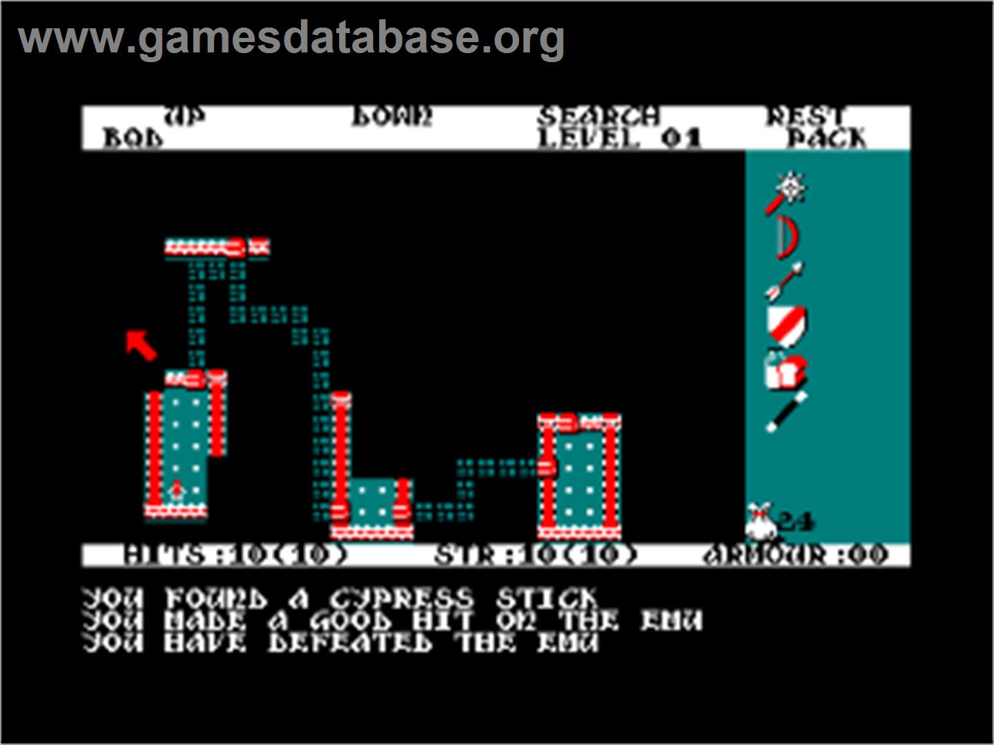 Rogue - Amstrad CPC - Artwork - In Game