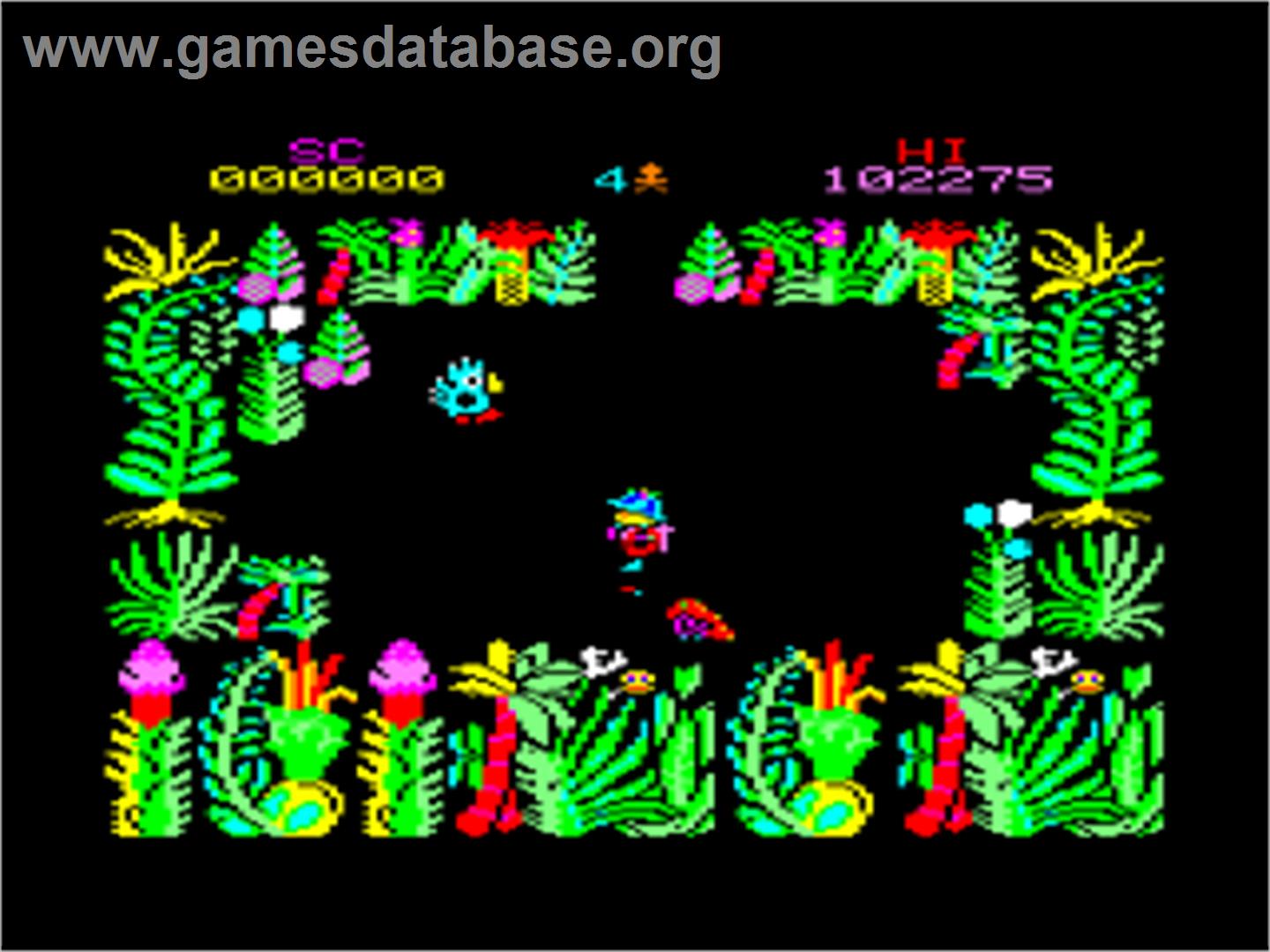 Sabre Wulf - Amstrad CPC - Artwork - In Game