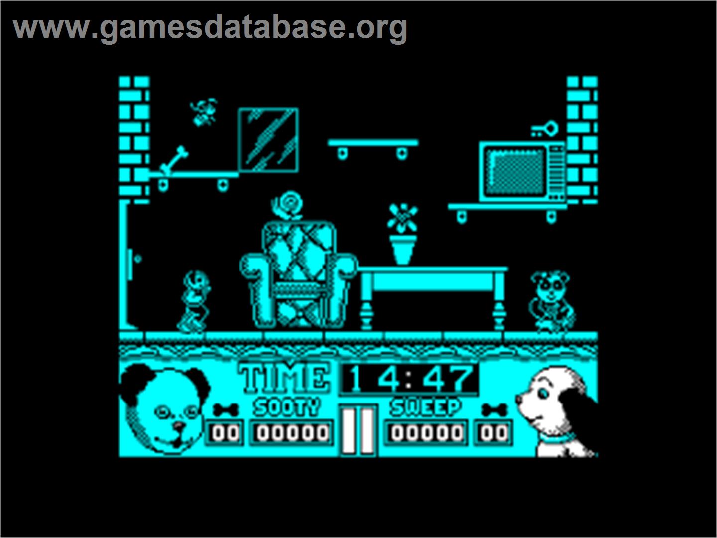 Sooty And Sweep - Amstrad CPC - Artwork - In Game