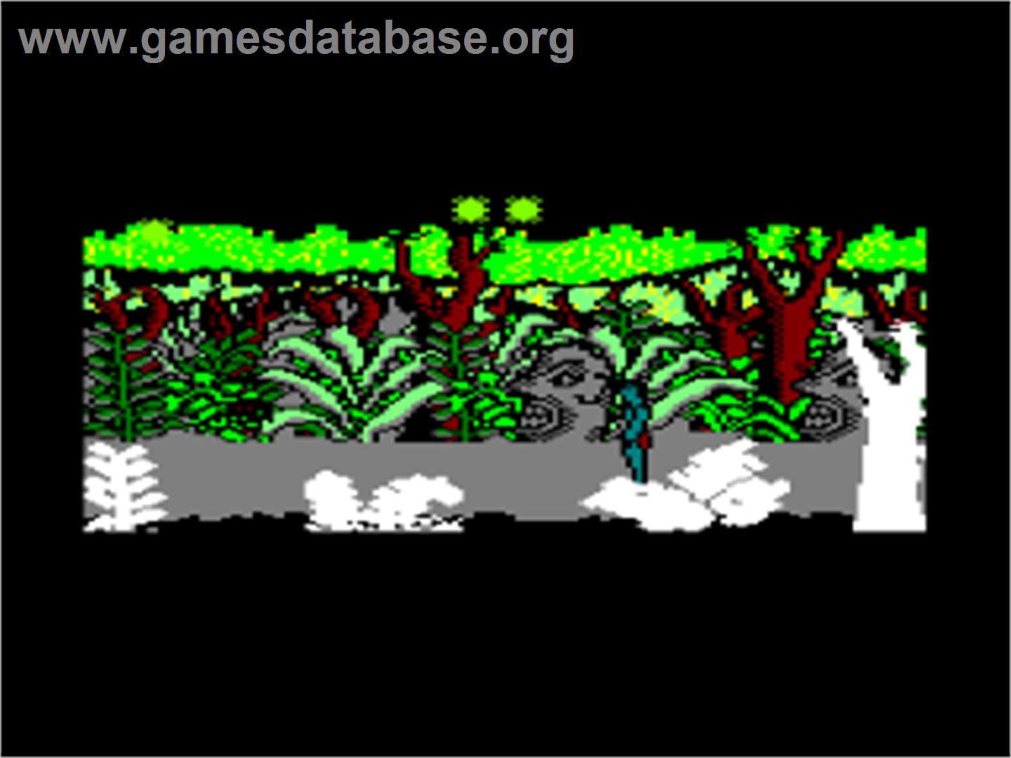 Tarzan - Amstrad CPC - Artwork - In Game