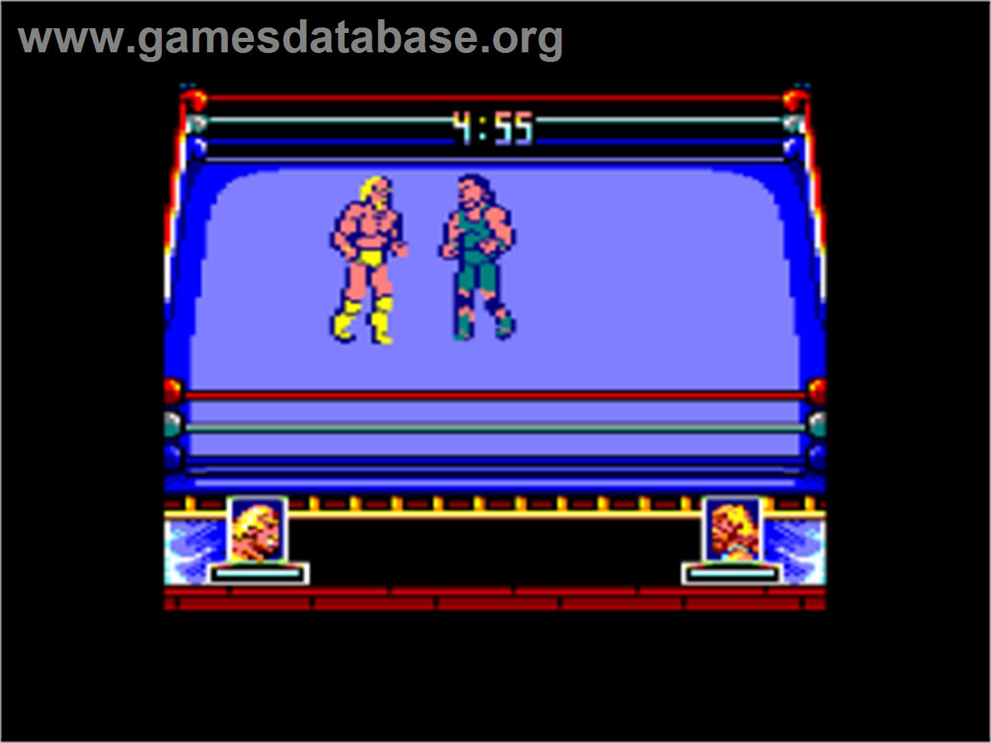 WWF Wrestlemania - Amstrad CPC - Artwork - In Game