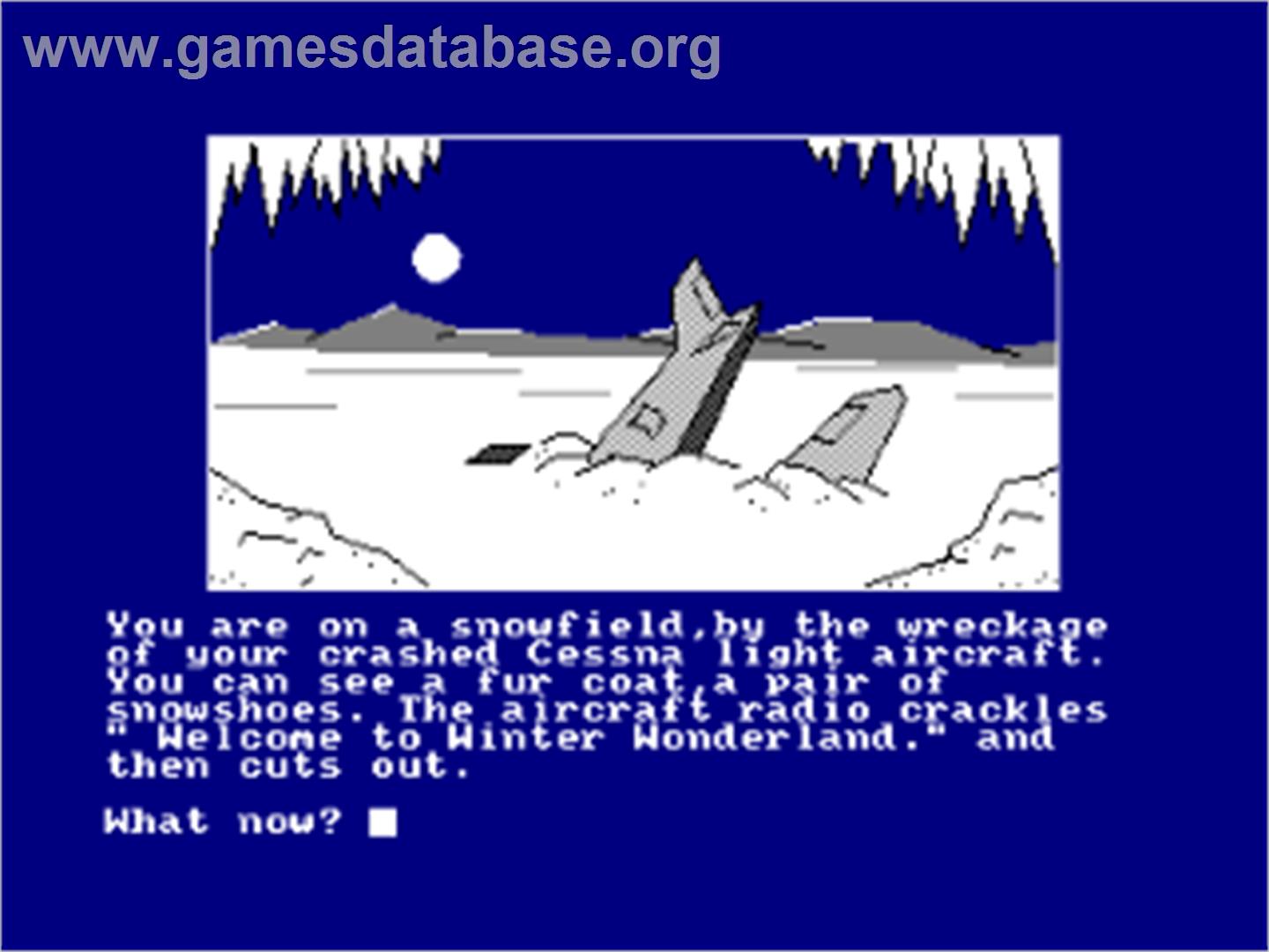 Winter Wonderland - Amstrad CPC - Artwork - In Game
