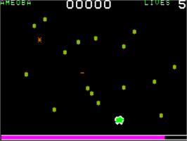 In game image of Evolution on the Apple II.