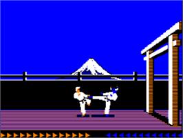 In game image of Karateka on the Apple II.