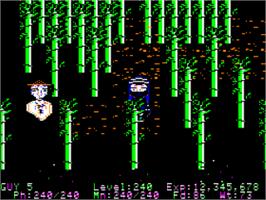 In game image of Moebius - The Orb of Celestial Harmony on the Apple II.