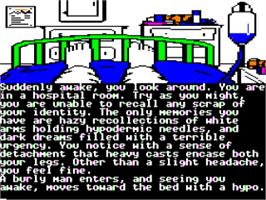 In game image of Nine Princes In Amber on the Apple II.