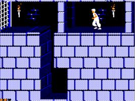 In game image of Prince Of Persia on the Apple II.