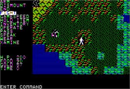 In game image of Questron on the Apple II.