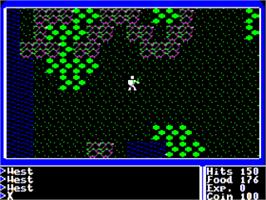 In game image of Ultima I: The First Age of Darkness on the Apple II.