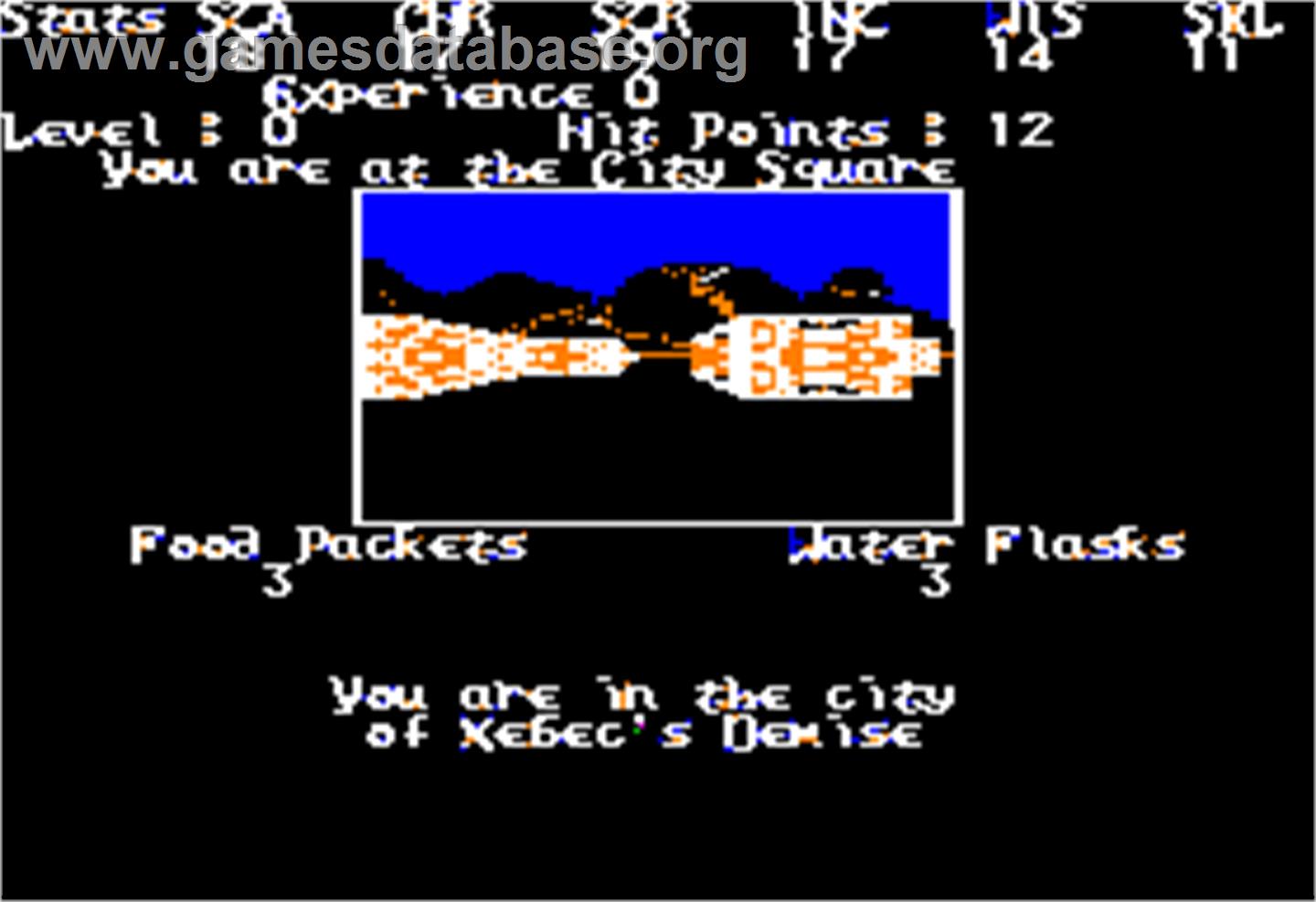 Alternate Reality: The City - Apple II - Artwork - In Game
