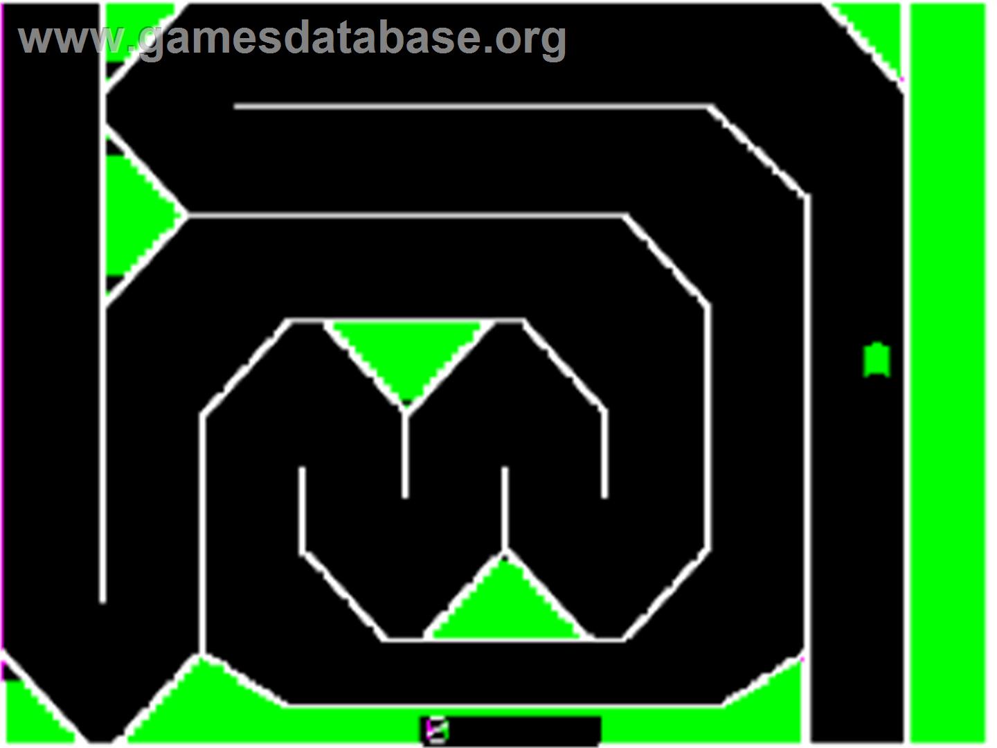 Death Race '82 - Apple II - Artwork - In Game