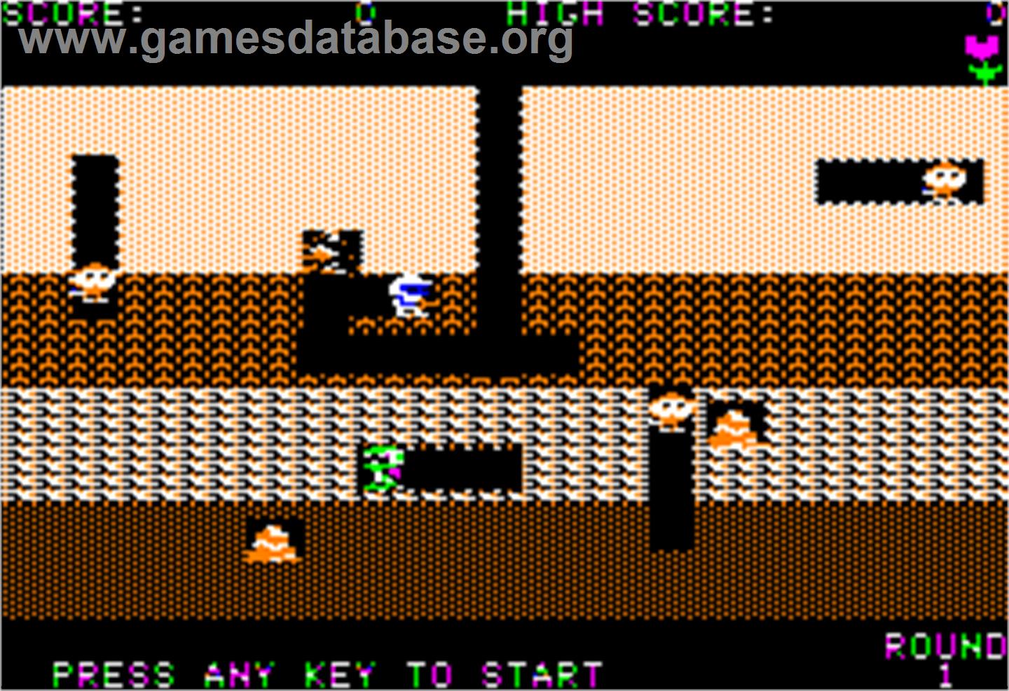 Dig Dug - Apple II - Artwork - In Game