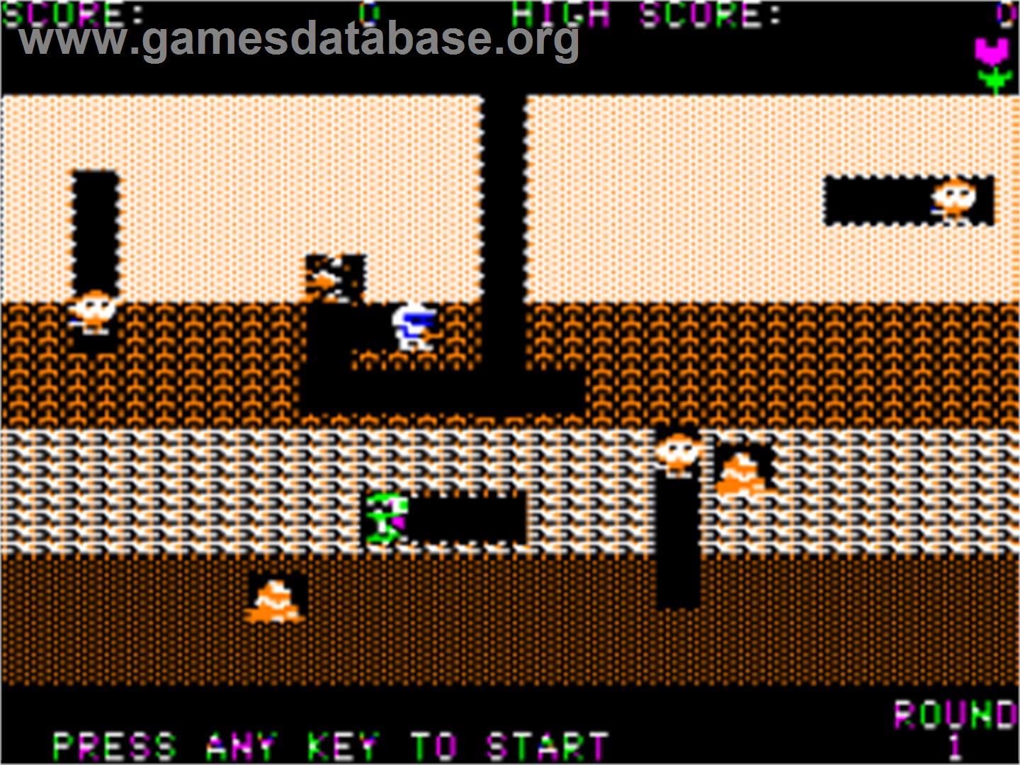 Dig Dug - Apple II - Artwork - In Game