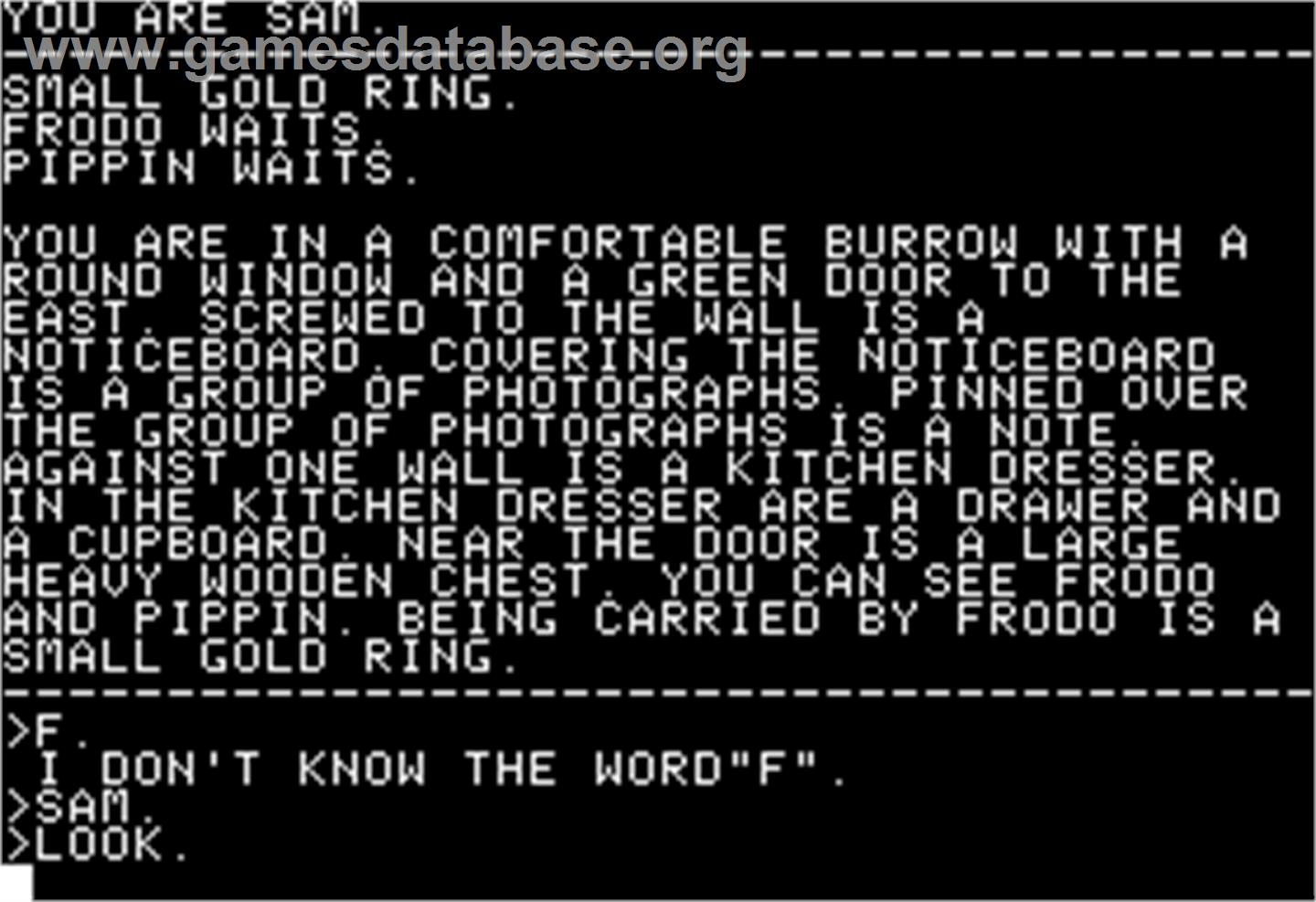 Fellowship of the Ring - Apple II - Artwork - In Game